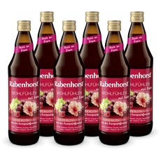 RABENHORST Wohlfühlen mit Eisen 6er Pack (6 x 700 ml). Mehrfruchtsaft mit Hibiskusblüten-Essenz, Eisen, Vitamin C, B6 und B12 für die Blutbildung und den Energiestoffwechsel