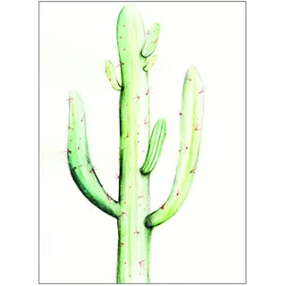 Komar Wandbild | Saguaro Watercolor | Poster, Bild, Wohnzimmer, Schlafzimmer, Dekoration, Kunstdruck | ohne Rahmen | P070B-40x50 | Größe: 40 x 50 cm (Breite x Höhe)