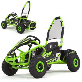 Elektro Buggy Kinder 1000W Quad Miniquad 48V ATV Kinderquad Pocketbike 55946 - Grün