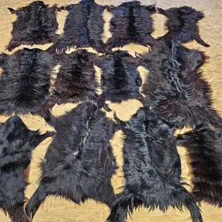 Ziegenfell Zickelfell kein Geruch | natürliche Farben | Fellteppich - 80cm-100cm lang 2.Wahl