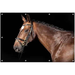 Wallario Outdoor-Poster für Garten oder Balkon, Motiv Herausgeputztes Pferd mit Geschirr, in ca. 100 x 150 cm - Braun