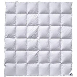 billerbeck Bettdecke Super-Edition Kassette II Wärmestufe warm 200 x 200 cm