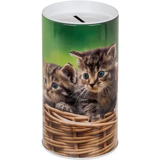 Spardose für Kinder, Welpen, Hunde und Katzen. Originelle Spardose aus Dose mit Deckel, günstige Spardose für Kinder, die auch als Stiftdose verwendet werden kann. (Kätzchen)