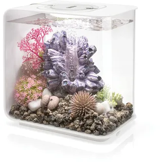 OASE biOrb FLOW 15 LED Aquarium 15 l weiß