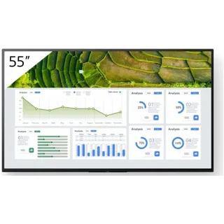 Sony FW-55BZ30L 55"