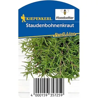 Kiepenkerl Staudenbohnenkraut Bee Better Topf-Ø ca. 12 cm