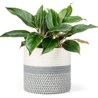KMERCE Gross Pflanzkorb geflochten, Blumentopf Korb 25cm Durchmesser, übertöpfe für zimmerpflanzen, blumenkorb Indoor, übertopf Korb Gross innen Boho, pflanzentopf Gestrickt mit Griffen