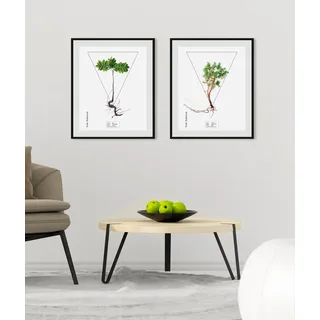 Bild QUEENCE "Juniperus", grün (farbe rahmen: schwarz, farbe bild(er): grün), B:50cm H:70cm, Acrylglas, Holz, Papier, Bilder, Bild, HD Premium Poster-Druck inkl. Holzrahmen