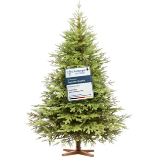 FAIRYTREES Weihnachtsbaum künstlich 220cm Nordmanntanne Exklusiv 100% PE| Tannenbaum Holzständer | Made in EU | Christbaum künstlich mit Naturgetreue Spritzguss Elemente