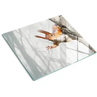 Tulup Glasplatte 60x52 cm Eichhörnchen , Glas , 60x0.4x52 cm , Küchen, Küchenelektrogeräte, Herde, Herdabdeckplatten