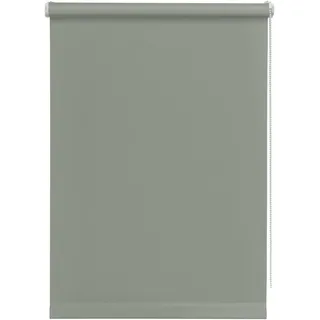 GARDINIA Mini-Rollo 45 x 150 cm grau