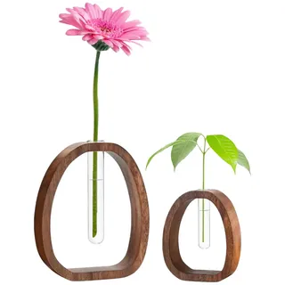 2 Stück Reagenzgläser mit Holzständer Reagenzglas Vase Kleine Blumenvasen für Blumen Hydrokultur Pflanzen Tischdeko