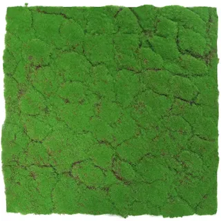 JANGAL Wandpaneel Modular Wall Hellgrün 2 St. 52 x 52 x 2 cm