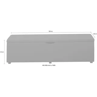 Hockerbank HOME AFFAIRE "Standard", blau (petrol), B:160cm H:42cm T:40cm, Struktur fein (100% Polyester) für Bett »Classico«, »Piazza«, »Premium« und »Vega«;Struktur (100% Polyester) für Bett »Crato« und »Lucina«;Struktur (60% Baumwolle, 40% Leinen) für Bett »Kiss«;Kunstleder für Bett »Natura«;Struktur (100% Polyester) für Bett »Nordica«, Hocker, Hockerbank, Breite 120cm oder 160cm, auch als Garderobenbank oder Bettbank
