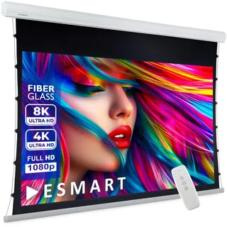 ESMART Expert XTR Tageslicht Tension-Leinwand GRAU 297 cm Bild 266 x 149 cm (120") 16:9 | Fernbedienung | Heimkino elektrische Beamer Projektionsleinwand Motor Tension LCD LED