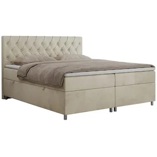 MKS Meble Boxbett Roma 180/200 - Beige Velvet - H4 - Textil - H4 - 7-Zonen - Rechteckig - 180x200 cm , Oeko-Tex® , Schlafzimmer, Betten, Boxspringbetten