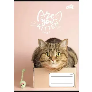 Cool by Victoria: Cats Forever liniertes A5-Heft – verschiedene Designs