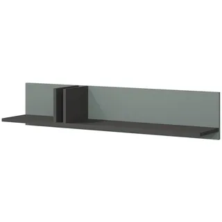 Mirjan24 Wandregal Alsy Al15 , Anthrazit, Grün , Holzwerkstoff , Rechteckig , 110x22x22 cm , Wohnzimmer, Regale, Wandregale