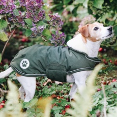 Bild Dogwear Dog coat Waterproof Olive Green, XL
