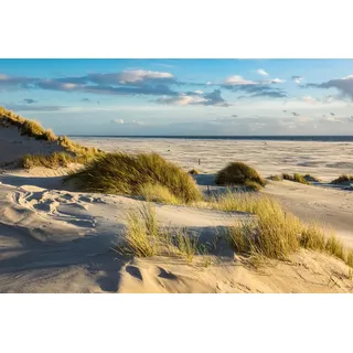 Papermoon »DÜNEN-AMRUM NORDSEE STRAND MEER INSEL HOLSTEIN GRAS XXL«, bunt,