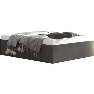 Westfalia Schlafkomfort Polsterbett »Amrum« in Samtvelours ohne Kopfteil, mit und ohne Bettkasten erhältlich, grau
