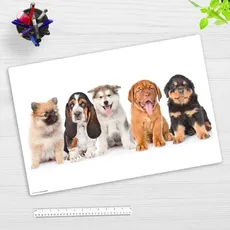 Cover-your-desk Schreibtischunterlage für Kinder 5 süße Hundewelpen, aus hochwertigem Vinyl , 60 x 40 cm