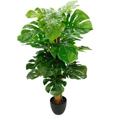 Bild Kunstpflanze »Splitphilopflanze«, im Kunststofftopf, grün