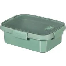 Bild Smart To Go Eco Lunchbox 1 L, Lunchbox, Grün