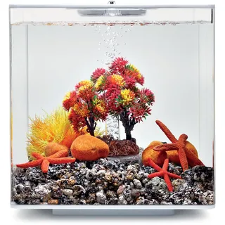 biOrb 55024 Decor Set 15L Herbst - herbstliches, farbenfrohes Aquarien-Dekor / geeignet für 15 l biOrb-Aquarien