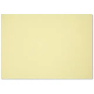 100er Set Tischunterlagen Pastell I Platzsets aus Papier I DIN A3 I beidseitig gelb I Einweg Tischset I az148