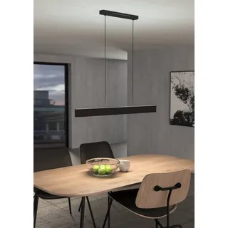 EGLO Hängeleuchte "ANDREAS-Z", schwarz-weiß (schwarz), 2, H: 110cm, 1 Stk., Leuchten, Timer, App / Sprachsteuerung Alexa, 117x7x110cm, exkl. Fernbedienung, Hängeleuchte
