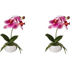 Bild Kunstorchidee »Phalaenopsis in Keramikschale«, mit Real-Touch-Blüten, pink