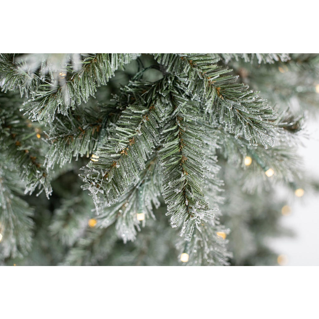 Bild von Weihnachtsbaum Fichte Frost 180 cm