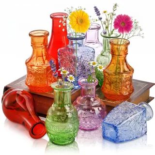 DEAYOU 10 Stück Glasvasen, kleine transparente Blumenvase für Tafelaufsatz, Mini-Vintage-Blumenflasche, Bunte lebendige Einzelknospenvasen, zierliche Tisch-Blumenvasen für Pflanzen, Heimdekoration,