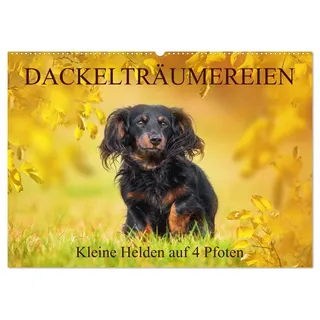 Dackelträumereien - Kleine Helden auf 4 Pfoten (Wandkalender 2026 DIN A2 quer), CALVENDO Monatskalender: Lassen Sie sich von zauberhaften ... durch das Jahr begleiten (CALVENDO Tiere)