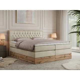 MKS Meble King Boxspringbett 140x200 mit Bettkasten Eiche, Polsterbett 140x200 mit Matratze H4, Bett 140x200 mit Kopfteil, Bett mit Holzrahmen in Wotan Eiche - Beige Velvet - Amore King - Beige