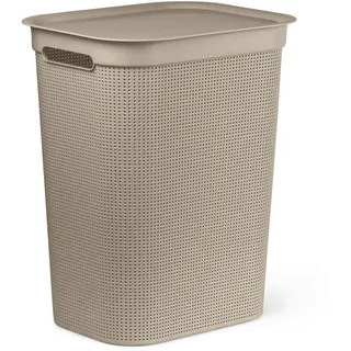 Rotho Brisen 50 l