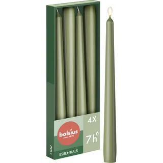 Bolsius Glatte Spitzkerzen 24,5 cm grün 4 St.