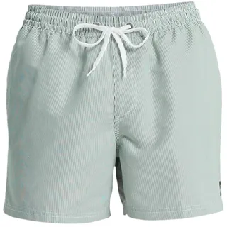 QUIKSILVER Everyday Deluxe Badeshorts Grün 2XL