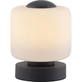 PAUL NEUHAUS LED-Tischleuchte 4037-13 anthrazit, 5 W, 580 lm, 3000 K