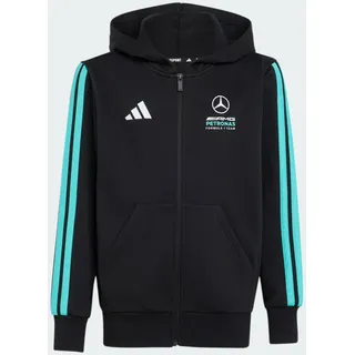 adidas Unisex Kids Mercedes - AMG Petronas Formula 1 Team DNA Full Zip Hoody, Black/semi Mint Rush, 7-8 Years