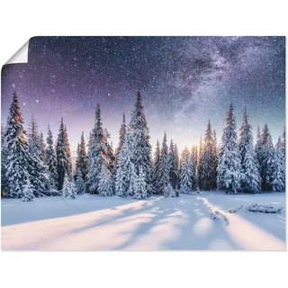 Artland Wandbild »Tannenwald im Schnee vorm Sternenhimmel« Berge & Alpenbilder 1 Stk. tlg. als Alubild, Leinwandbild, Poster in verschied. Größen, blau