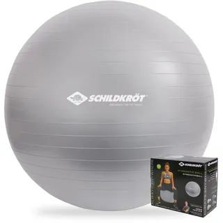 Donic Schildkröt Gymnastikball Silber 65 cm