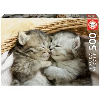 Educa - Puzzle 500 Teile für Erwachsene | Süße Kätzchen, 500 Teile Puzzle für Erwachsene und Kinder ab 11 Jahren, Katzen, Tierpuzzle (19004)