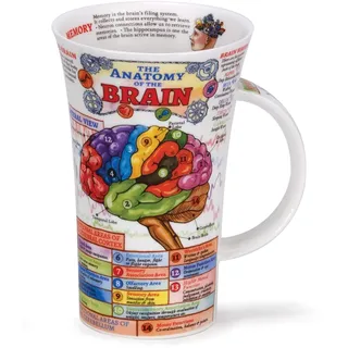 Dunoon, Trinkbecher, Glencoe, Biologie, Knochenporzellan, The Brain