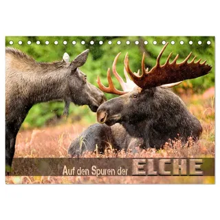 Calvendo Auf den Spuren der Elche (Tischkalender 2026 DIN A5 quer), CALVENDO Monatskalender: