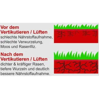 SCHEPPACH Benzin-Vertikutierer SC55P 40 cm Arbeitsbreite