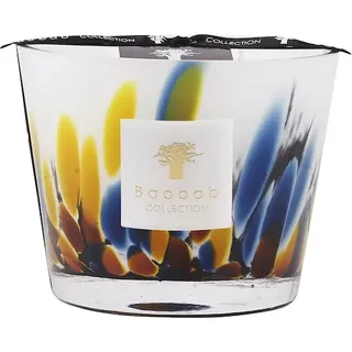 Baobab Collection Rain-ForestKerze Mayumbe Max 10 500 g