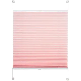 Liedeco Plissee »Pastell« Lichtschutz ohne Bohren verspannt Klemmfix-Plissee, Pastell, rosa