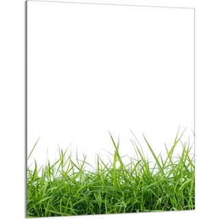 Herdabdeckplatte 40x52 Glaskeramikkochfeld Abdeckung Spritzschutz Glasplatte Deko Schneidebrett, Weiß Gras
